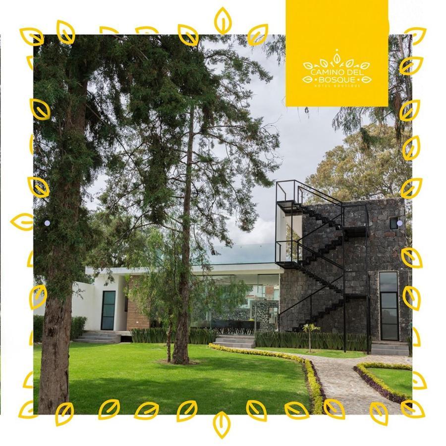 Hotel Boutique Camino Del Bosque By Rotamundos Cholula Eksteriør billede