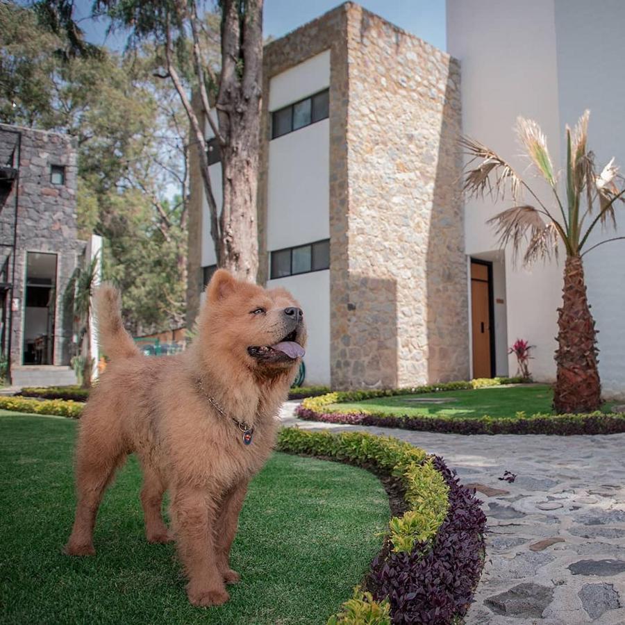 Hotel Boutique Camino Del Bosque By Rotamundos Cholula Eksteriør billede