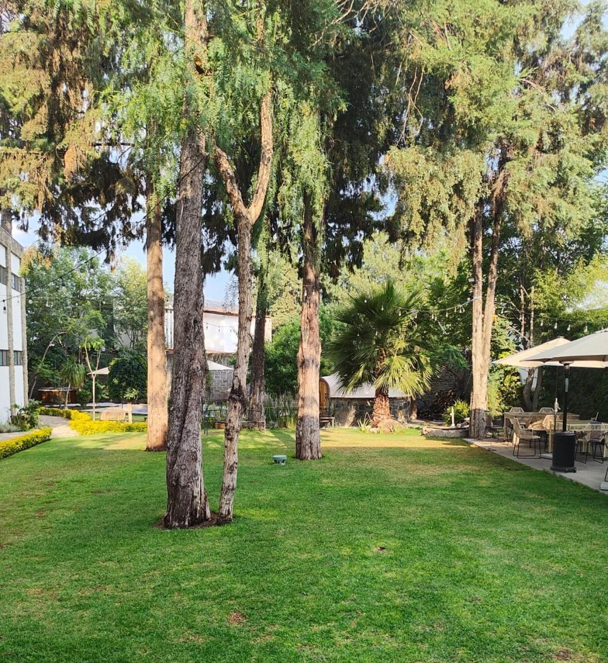 Hotel Boutique Camino Del Bosque By Rotamundos Cholula Eksteriør billede